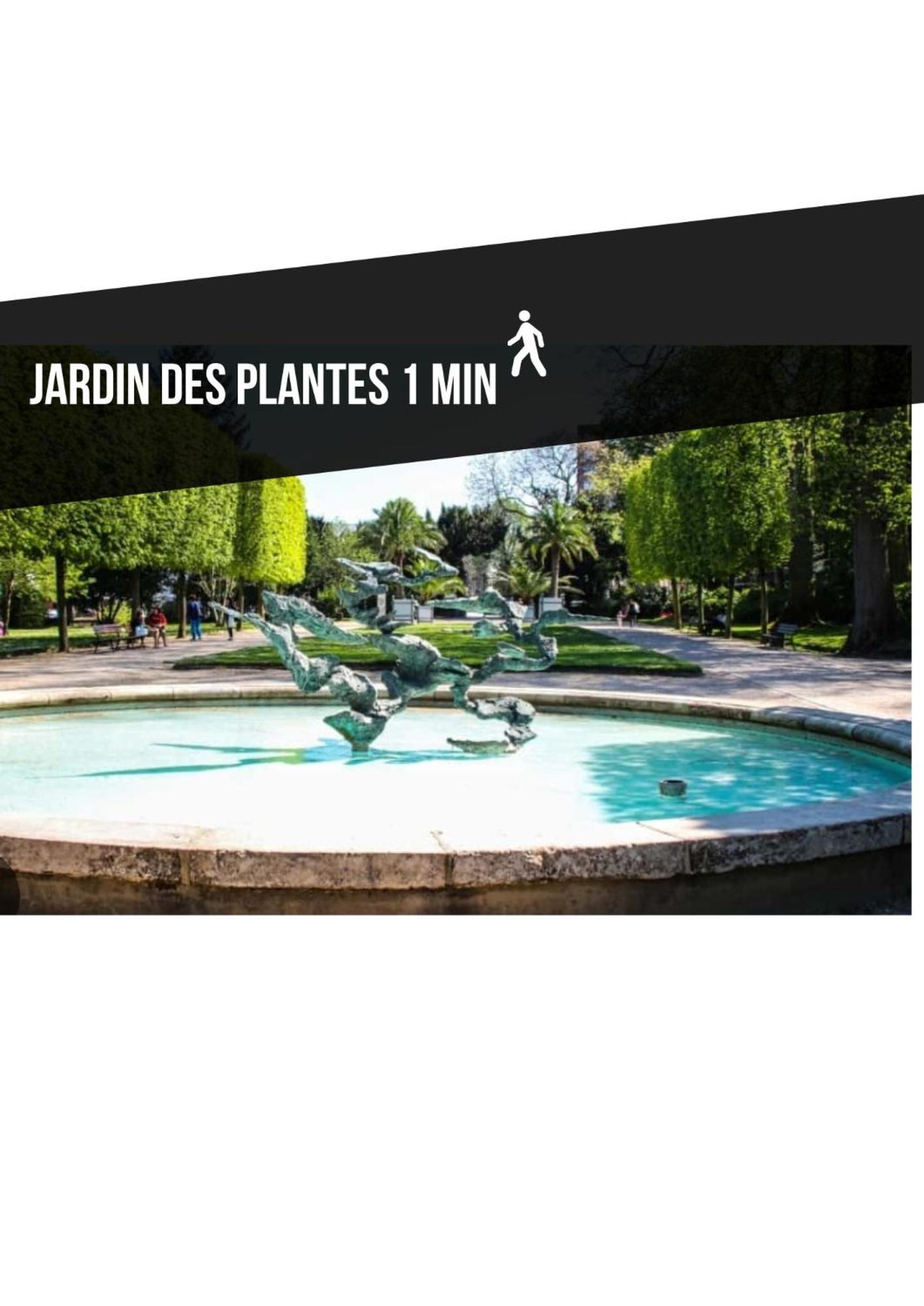 Le Jardin Des Plantes Rouen Studios Et F2 Au Calmes, Terrasse, Stationnement Gratuit Zewnętrze zdjęcie